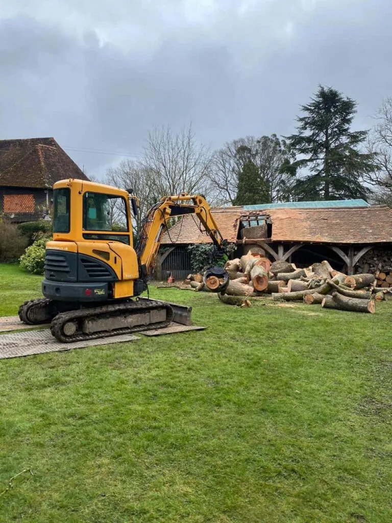 This is a photo of a tree which has grown through the roof of a barn that is being cut down and removed. There is a digger that is removing sections of the tree as well. Burton Joyce Tree Surgeons