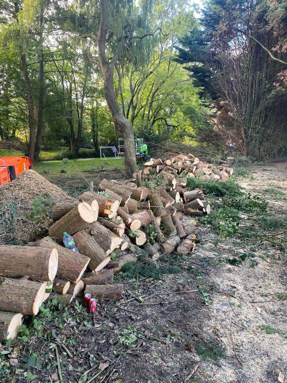 This is a photo of a wood area which is having multiple trees removed. The trees have been cut up into logs and are stacked in a row. Burton Joyce Tree Surgeons