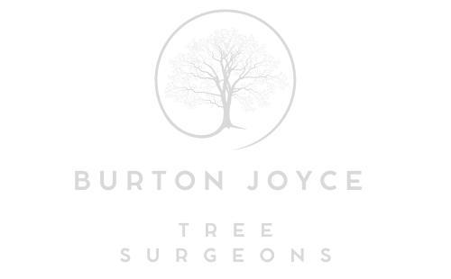 Burton Joyce Tree Surgeons Our Tree Care Services