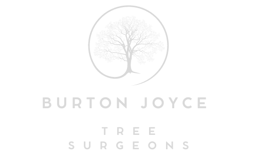 Burton Joyce Tree Surgeons